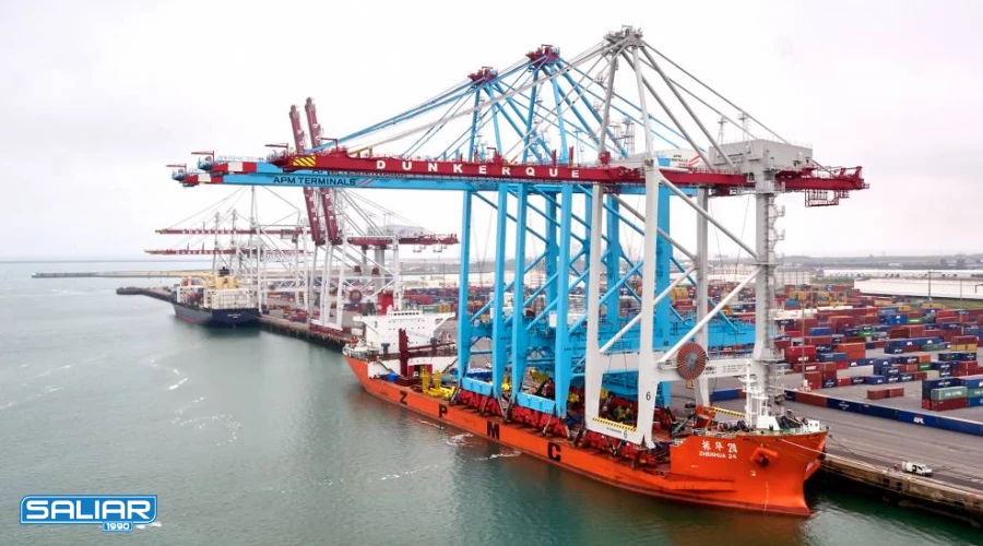 جرثقیل دریایی چینی