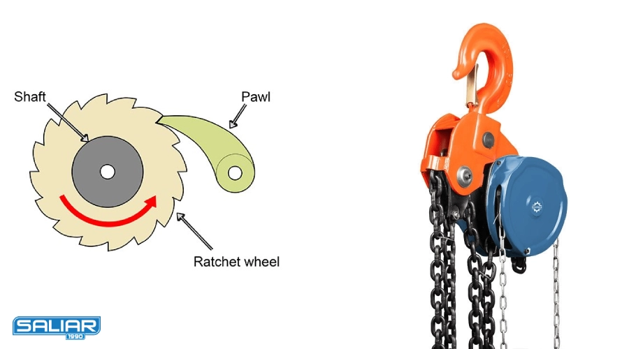 پاول یا ضامن قفل کننده دندانه های چرخ دنده چین بلاک